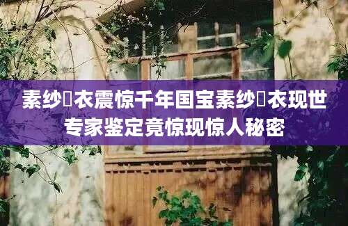 素纱襌衣震惊千年国宝素纱襌衣现世专家鉴定竟惊现惊人秘密