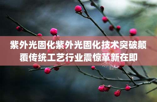 紫外光固化紫外光固化技术突破颠覆传统工艺行业震惊革新在即