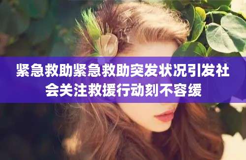 紧急救助紧急救助突发状况引发社会关注救援行动刻不容缓
