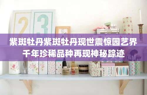 紫斑牡丹紫斑牡丹现世震惊园艺界千年珍稀品种再现神秘踪迹