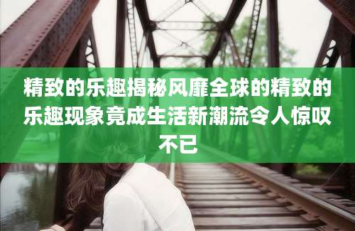精致的乐趣揭秘风靡全球的精致的乐趣现象竟成生活新潮流令人惊叹不已