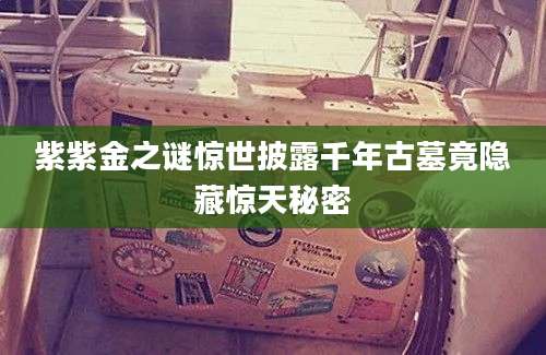 紫紫金之谜惊世披露千年古墓竟隐藏惊天秘密