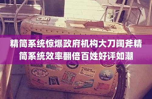 精简系统惊爆政府机构大刀阔斧精简系统效率翻倍百姓好评如潮