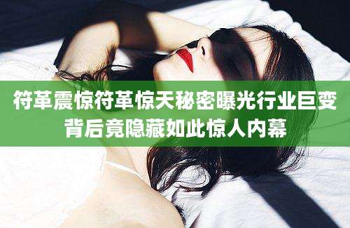 符革震惊符革惊天秘密曝光行业巨变背后竟隐藏如此惊人内幕