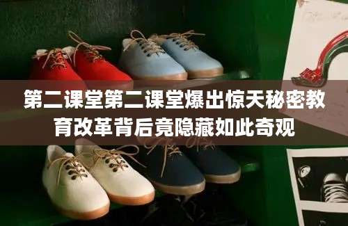 第二课堂第二课堂爆出惊天秘密教育改革背后竟隐藏如此奇观