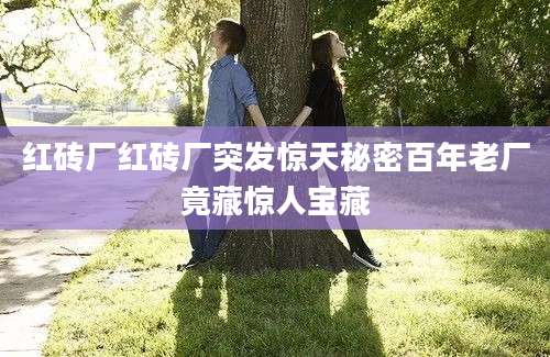 红砖厂红砖厂突发惊天秘密百年老厂竟藏惊人宝藏
