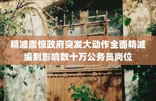 精减震惊政府突发大动作全面精减编制影响数十万公务员岗位