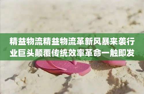 精益物流精益物流革新风暴来袭行业巨头颠覆传统效率革命一触即发
