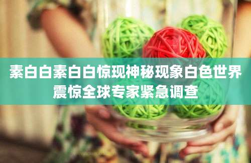 素白白素白白惊现神秘现象白色世界震惊全球专家紧急调查