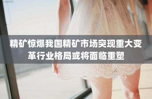 精矿惊爆我国精矿市场突现重大变革行业格局或将面临重塑