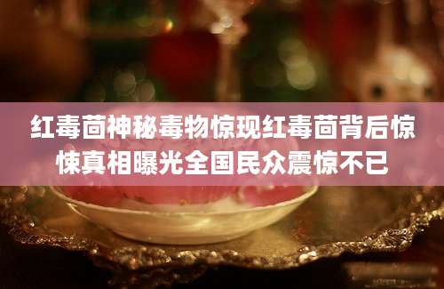 红毒茴神秘毒物惊现红毒茴背后惊悚真相曝光全国民众震惊不已