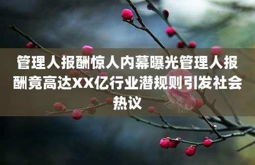 管理人报酬惊人内幕曝光管理人报酬竟高达XX亿行业潜规则引发社会热议