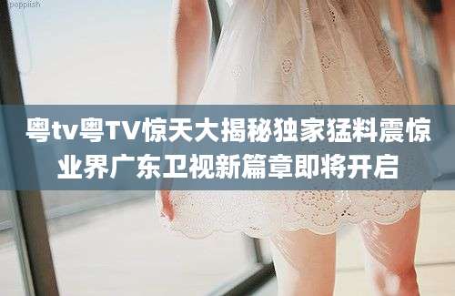 粤tv粤TV惊天大揭秘独家猛料震惊业界广东卫视新篇章即将开启