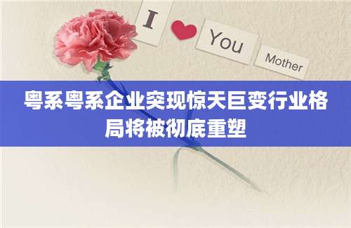 粤系粤系企业突现惊天巨变行业格局将被彻底重塑