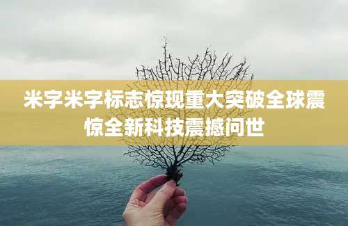 米字米字标志惊现重大突破全球震惊全新科技震撼问世