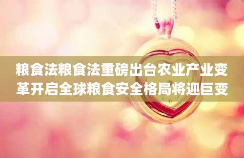 粮食法粮食法重磅出台农业产业变革开启全球粮食安全格局将迎巨变