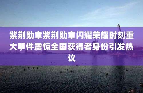紫荆勋章紫荆勋章闪耀荣耀时刻重大事件震惊全国获得者身份引发热议