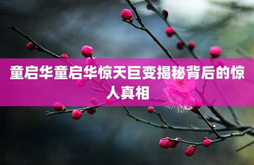 童启华童启华惊天巨变揭秘背后的惊人真相
