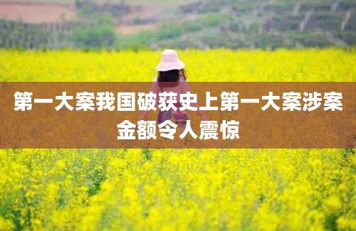 第一大案我国破获史上第一大案涉案金额令人震惊