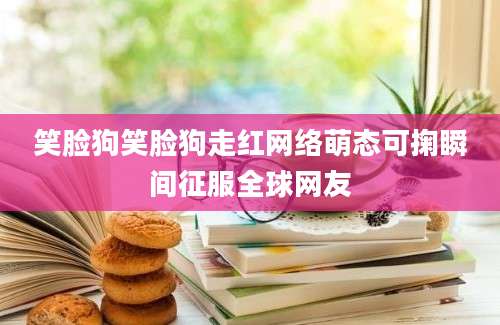 笑脸狗笑脸狗走红网络萌态可掬瞬间征服全球网友