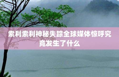 索利索利神秘失踪全球媒体惊呼究竟发生了什么