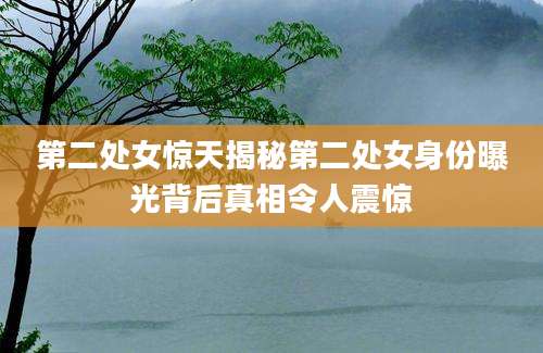 第二处女惊天揭秘第二处女身份曝光背后真相令人震惊