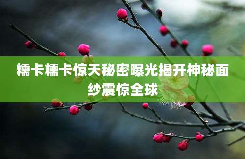 糯卡糯卡惊天秘密曝光揭开神秘面纱震惊全球