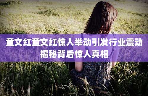 童文红童文红惊人举动引发行业震动揭秘背后惊人真相