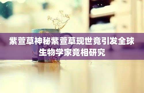紫萱草神秘紫萱草现世竟引发全球生物学家竞相研究