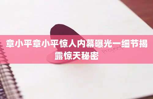 章小平章小平惊人内幕曝光一细节揭露惊天秘密