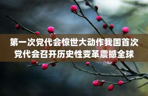 第一次党代会惊世大动作我国首次党代会召开历史性变革震撼全球
