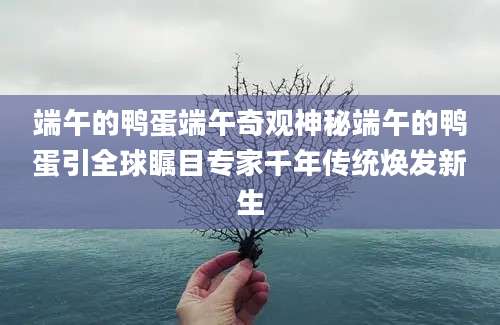 端午的鸭蛋端午奇观神秘端午的鸭蛋引全球瞩目专家千年传统焕发新生