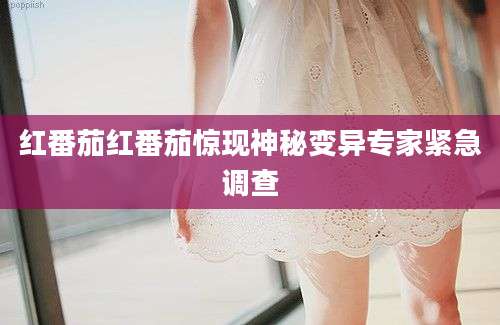 红番茄红番茄惊现神秘变异专家紧急调查