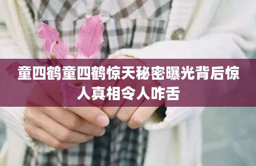 童四鹤童四鹤惊天秘密曝光背后惊人真相令人咋舌