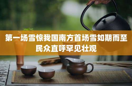 第一场雪惊我国南方首场雪如期而至民众直呼罕见壮观