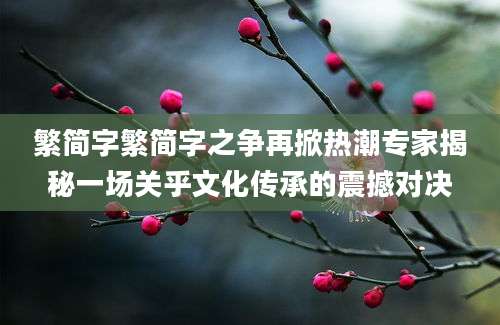 繁简字繁简字之争再掀热潮专家揭秘一场关乎文化传承的震撼对决