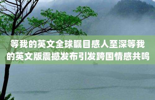 等我的英文全球瞩目感人至深等我的英文版震撼发布引发跨国情感共鸣