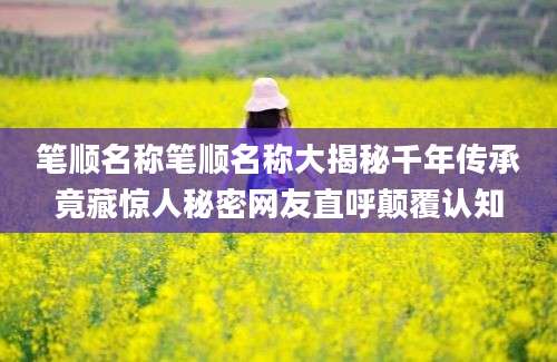 笔顺名称笔顺名称大揭秘千年传承竟藏惊人秘密网友直呼颠覆认知