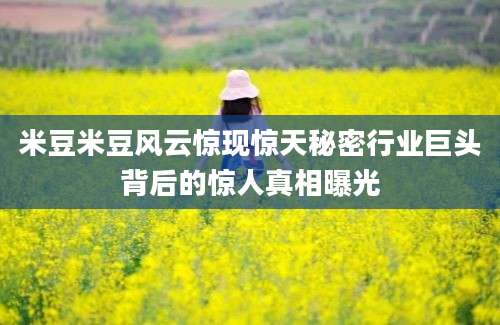 米豆米豆风云惊现惊天秘密行业巨头背后的惊人真相曝光