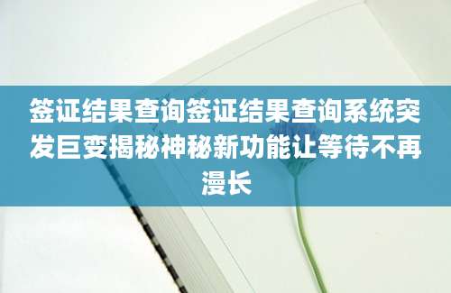 签证结果查询签证结果查询系统突发巨变揭秘神秘新功能让等待不再漫长