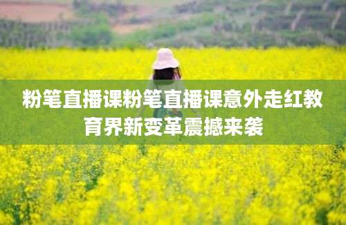 粉笔直播课粉笔直播课意外走红教育界新变革震撼来袭