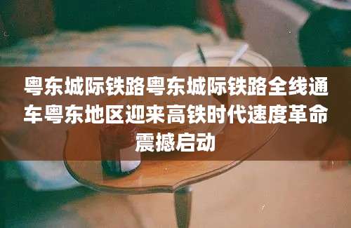 粤东城际铁路粤东城际铁路全线通车粤东地区迎来高铁时代速度革命震撼启动