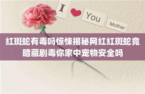 红斑蛇有毒吗惊悚揭秘网红红斑蛇竟暗藏剧毒你家中宠物安全吗