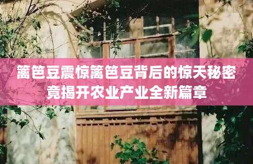 篱笆豆震惊篱笆豆背后的惊天秘密竟揭开农业产业全新篇章