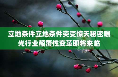 立地条件立地条件突变惊天秘密曝光行业颠覆性变革即将来临