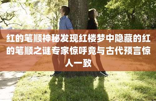 红的笔顺神秘发现红楼梦中隐藏的红的笔顺之谜专家惊呼竟与古代预言惊人一致