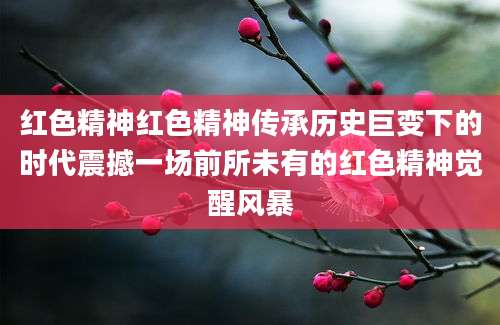 红色精神红色精神传承历史巨变下的时代震撼一场前所未有的红色精神觉醒风暴
