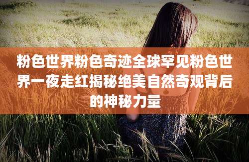 粉色世界粉色奇迹全球罕见粉色世界一夜走红揭秘绝美自然奇观背后的神秘力量