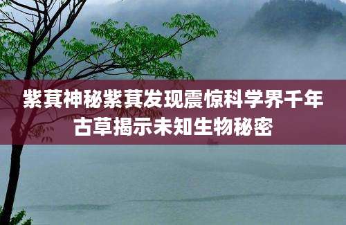 紫萁神秘紫萁发现震惊科学界千年古草揭示未知生物秘密
