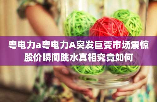粤电力a粤电力A突发巨变市场震惊股价瞬间跳水真相究竟如何